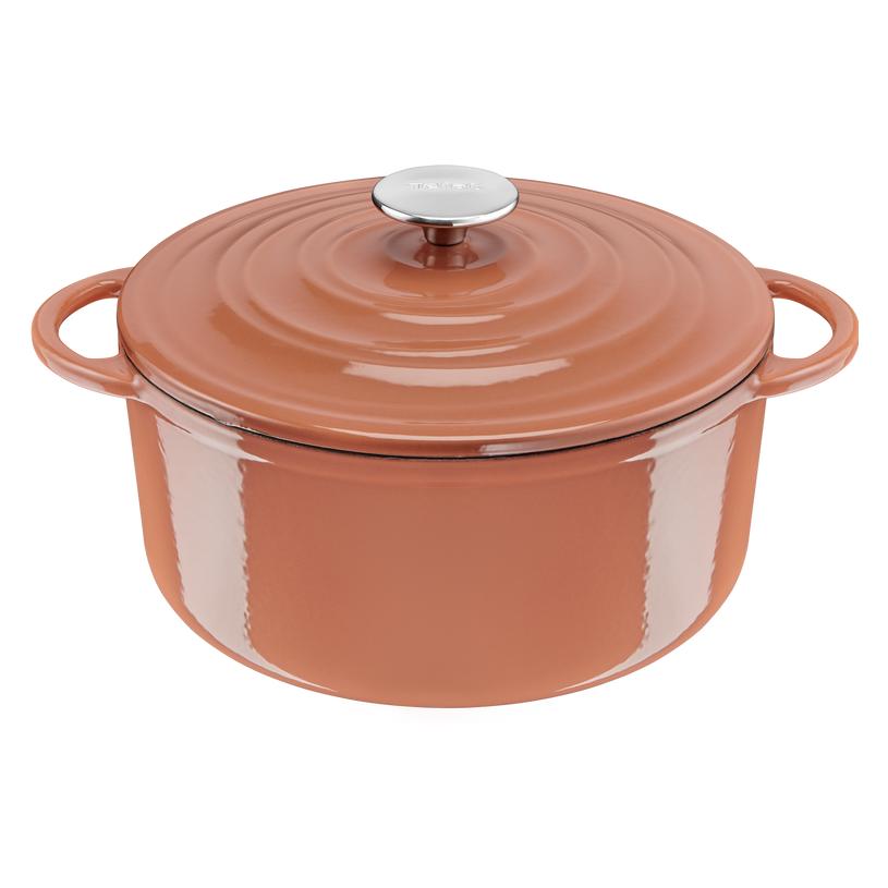 Tefal LOV Bräter (Bräter + Schmortopf, Kochtopf, Eisen, 25 x 17.50 cm) (E2600404)