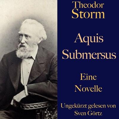 Theodor Storm: Aquis submersus - Theodor Storm, Audio, 9783955975319