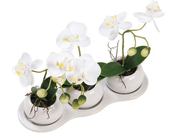 Kunstblume JUNA