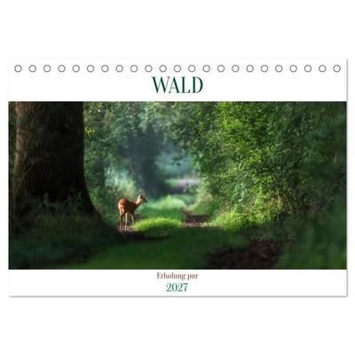 WALD Erholung pur (Tischkalender 2027 DIN A5 quer), CALVENDO Monatskalender