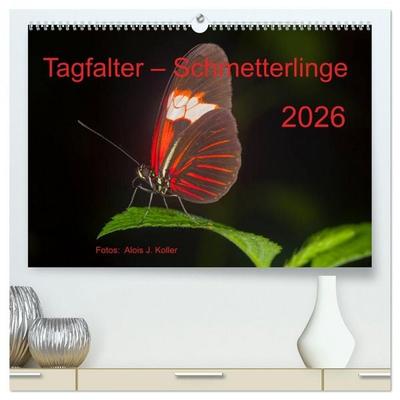Tagfalter Schmetterlinge (hochwertiger Premium Wandkalender 2026 DIN A2 quer), Kunstdruck in Hochglanz