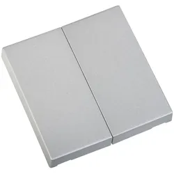 ELDAT RTS23-ACC-01-25P2 Wippe EIN/AUS 2x Format 55 alu-lackier für Wandsender RTS23