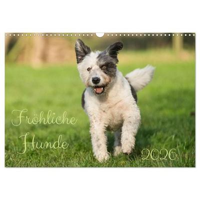Fröhliche Hunde (Wandkalender 2026 DIN A3 quer), CALVENDO Monatskalender