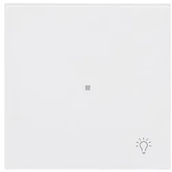 Busch-Jaeger Wippe 1-fach mit Symbol 6231-10-44M