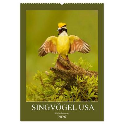 Singvögel USA (Wandkalender 2026 DIN A2 hoch), CALVENDO Monatskalender