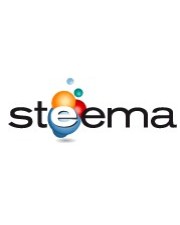 Steema TeeSuite for RAD Studio 1 Developer 1Y EN WIN LIZ+MNT (30000)