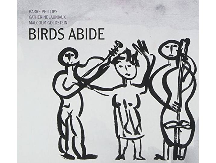 Birds Abide