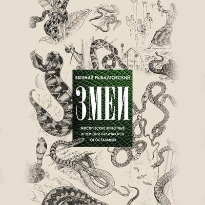 Zmei. Misticheskie zhivotnye i chem oni otlichayutsya ot ostalnyh - Evgeny Rybaltovsky, Audio, 9785171690939