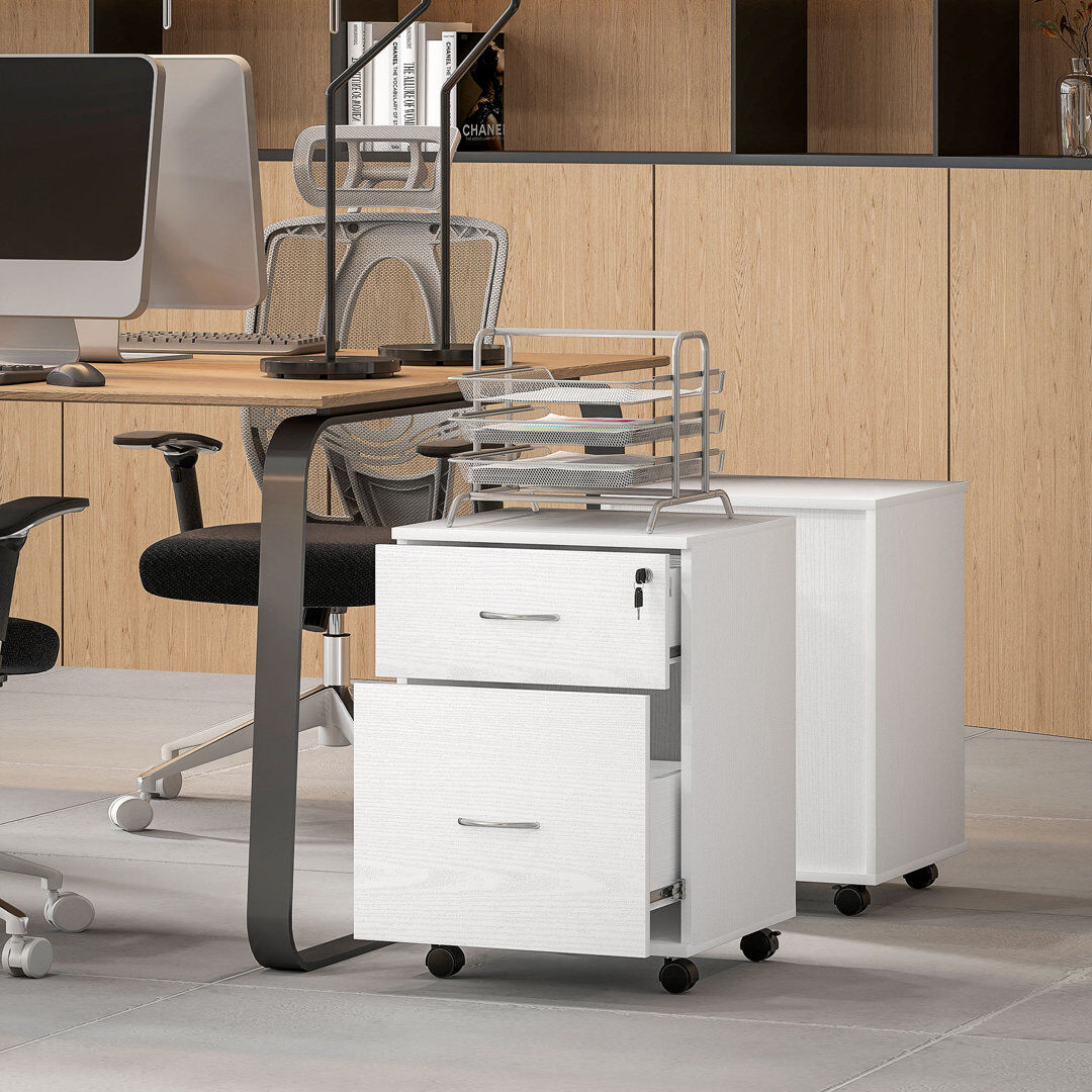 Brayden Studio 41 cm W 2 -Drawer Filing Cabinet White 58cm H X 41cm W X 39cm D