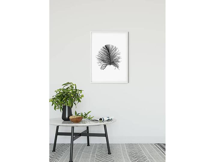 Wandbild Feather Fotopapier mit seidenmatter Oberfläche und hoher Lichtbeständigkeit Multicolor/Weiß 50 x 70 x 0cm