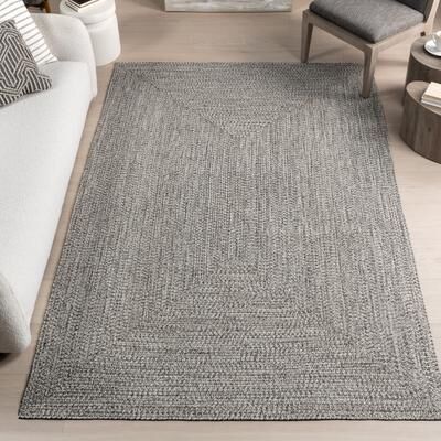 Nuloom Wynn Braided Indoor/Outdoor Area Rug