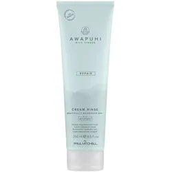 250ml Paul Mitchell Awapuhi Wild Ginger Cream Rinse