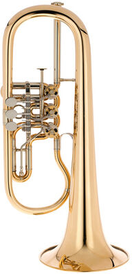 Gerd Dowids BZ-Series Bb-Flugelh. GL91 raw