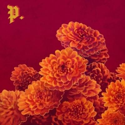 I Spent The Winter Writing 12 - Proper, Vinyl