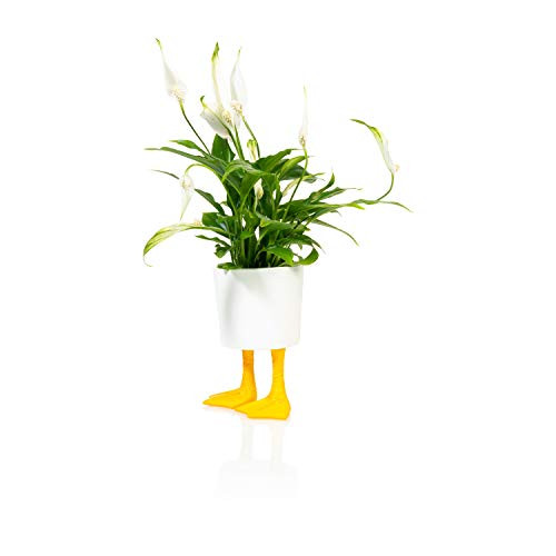 Duck Feet Planter Klein Geel voor op tafel