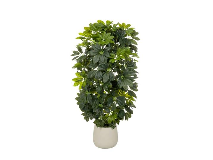 KUNSTPFLANZE Schefflera Grün B: 48cm