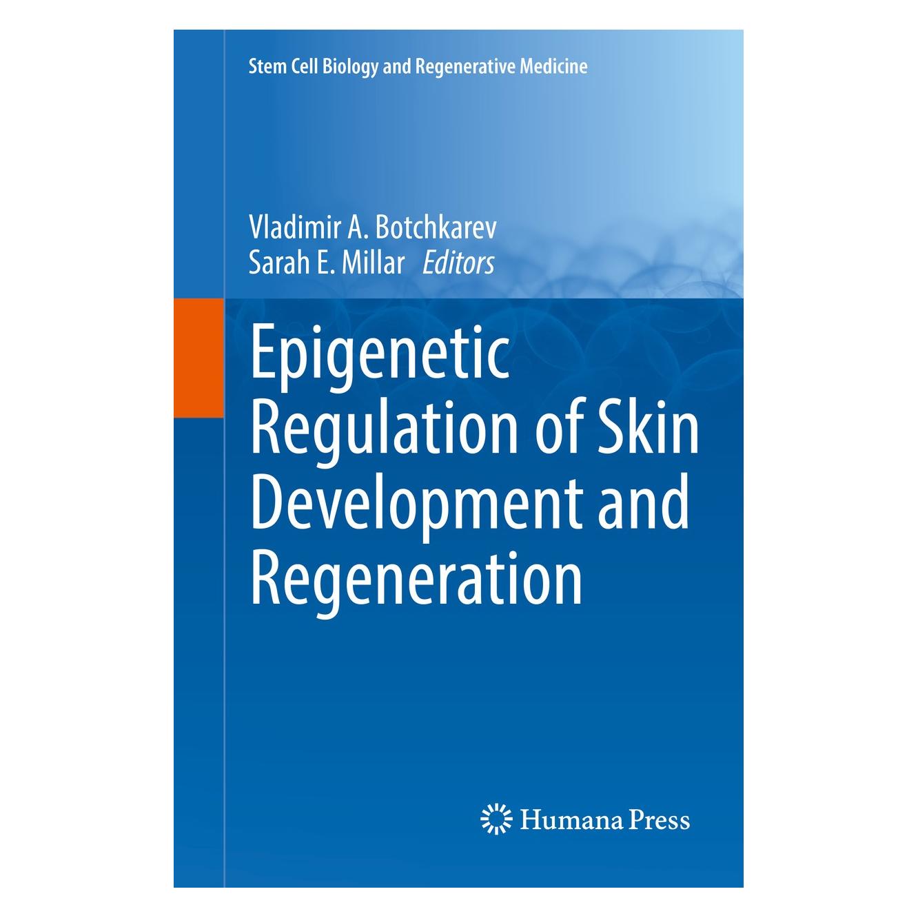 Springer Epigenetic Regulation of Skin Developme (Englisch, Hardcover, Sarah E. Millar, Vladimir A. Botchkarev) (9783319167688)