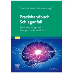 Praxishandbuch Schlaganfall, Fachbücher von Peter Kraft, Martin Köhrmann