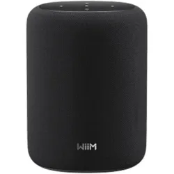 WiiM Sound lite (Bluetooth, Chromecast, WLAN), Multiroom System, Schwarz