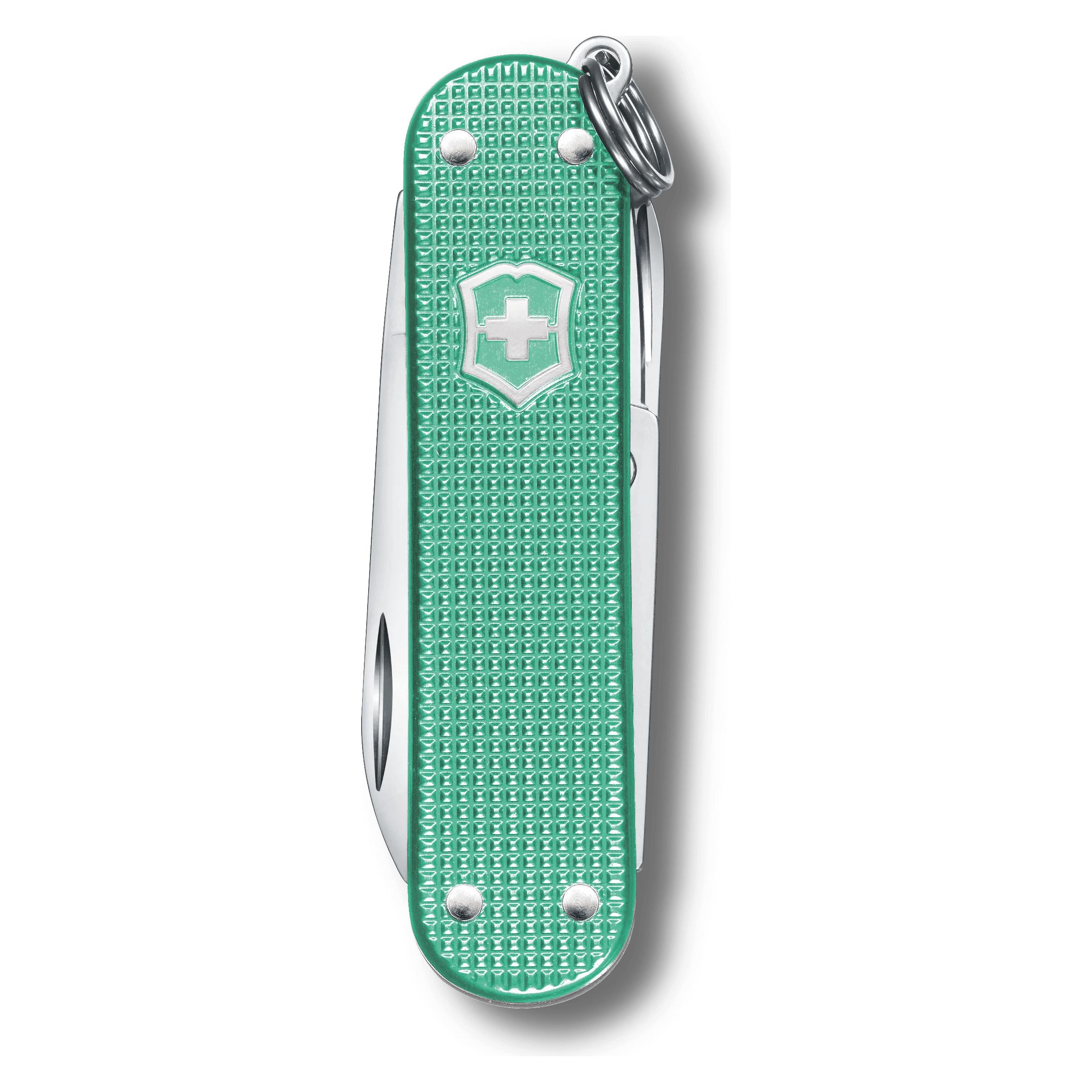 Victorinox Alox (V-0.62 21.221G)