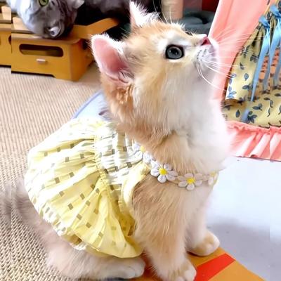 Uplift Essentials Petal Princess Floral Wreath Summer Pet Dress yellow 2xl