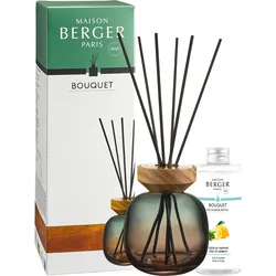 Duftdiffusor mit Stäbchen und Essenz Wood Minerals