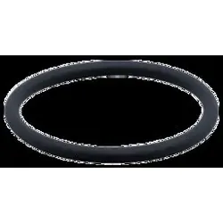 Ifm Electronic O-Ring Zulassung E30123