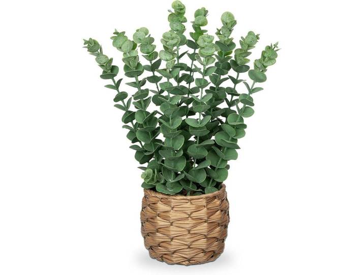 Kunstpflanze Eukalyptus 39 cm Grün im Seegras Topf, Kunststoff, 39 cm, Dekoration, Blumen & Blumentöpfe, Kunstpflanzen