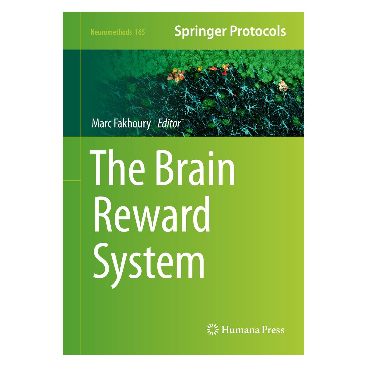 Springer The Brain Reward System (Englisch, Marc Fakhoury, 2020) (9781071611456)