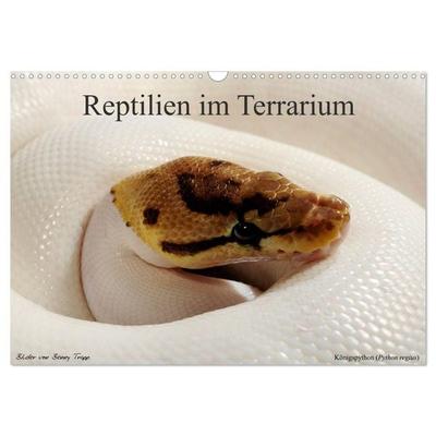 REPTILIEN IM TERRARIUM (Wandkalender 2026 DIN A3 quer), CALVENDO Monatskalender