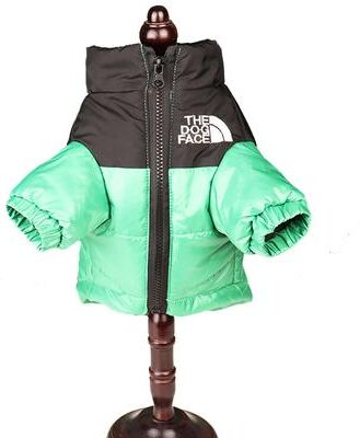 Combo Retail Shop French Bulldog Winter Jacket, Large Puppy Warm Windproof Coat, Reflective Dog Clothes, Small Medium Pet Outfit green l