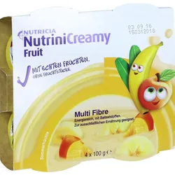 Nutrini Creamy Fruit Sommerfrüchte 400 G