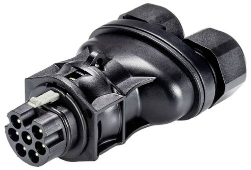 Wieland Electric 96.072.4253.1 Steckverbinder