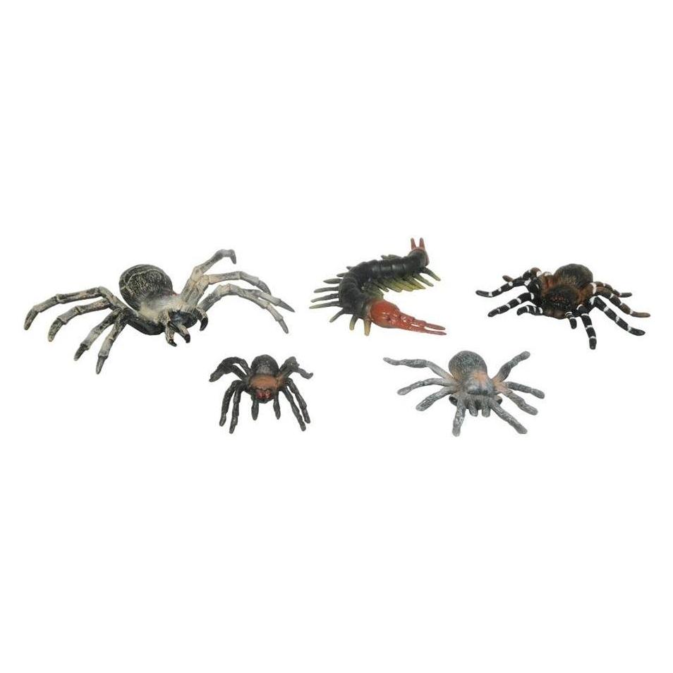 Swede Arthropoden (54626043)