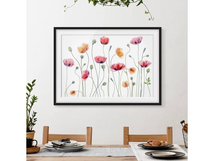 Bild Klatschmohn Party II Papier Rahmen: Echtholz, furniert: Kiefer Weiß 100 x 70cm