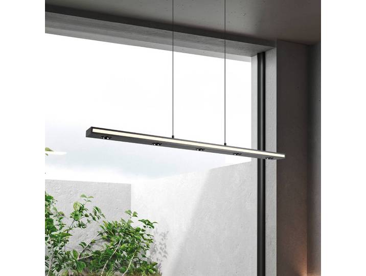 Trio Lighting Hängelampe Graham, dimmbar, schwarz, für Wohn- / Esszimmer, Metall, Modern