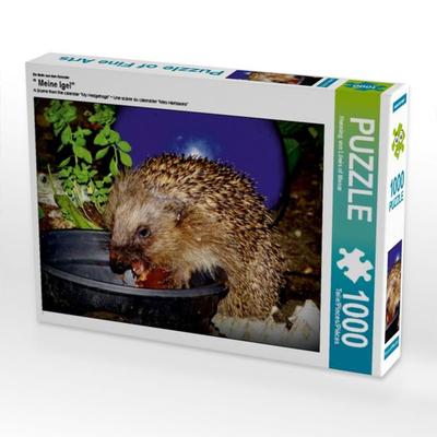 CALVENDO Puzzle Ein Motiv aus dem Kalender ' Meine Igel' | 1000 Teile Lege-Größe 64x48cm Foto-Puzzle für glückliche Stunden