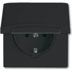 Busch-Jaeger Schuko-Steckdoseneinsatz IP44 anthrazit 20 EUGK-35-101