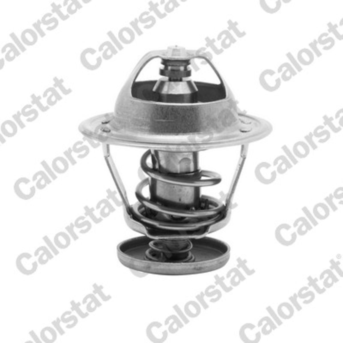 Thermostat, Kühlmittel CALORSTAT BY VERNET TH5079.82J