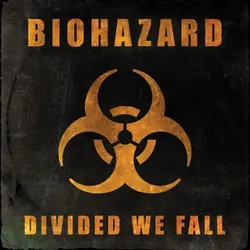 Divided We Fall