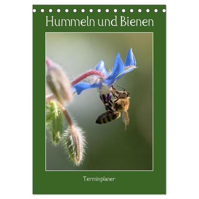 Hummeln und Bienen Terminplaner (Tischkalender 2027 DIN A5 hoch), CALVENDO Monatskalender