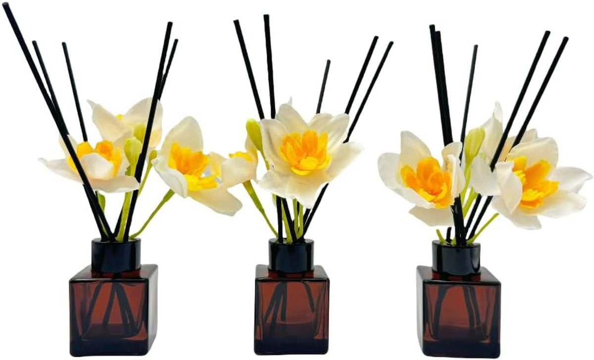 Set van 3 bruine rietdispensers met lege flessen voor badkamer en woondecoratie, 50 ml