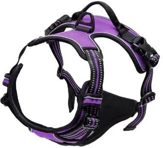 Inspire Essentials Comfort Fit Dog Harness And Leash Set For Small And Medium Dogs 5 s