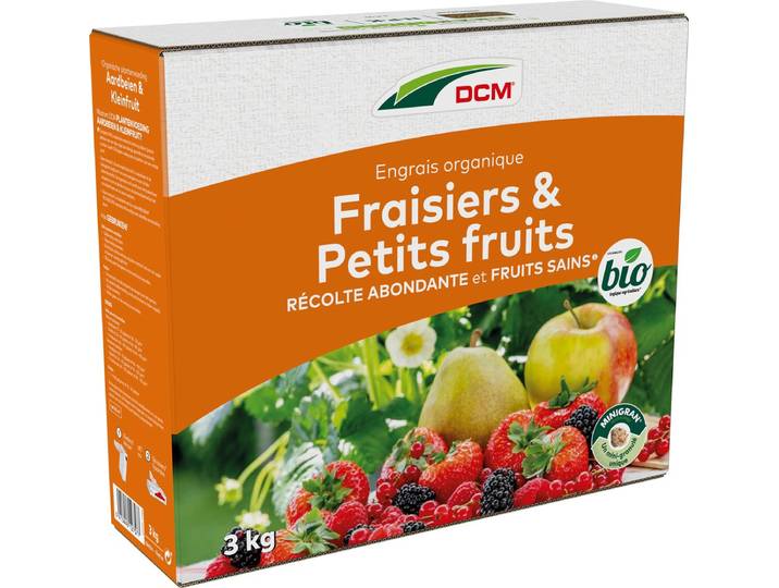 DCM AARDBEIEN/KLEINFRUIT 3KG