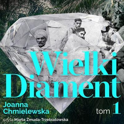 Wielki diament. Tom 1 - Joanna Chmielewska, Audio, 9789152150153