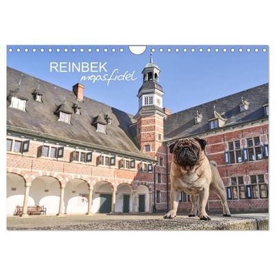 Reinbek mopsfidel (Wandkalender 2026 DIN A4 quer), CALVENDO Monatskalender