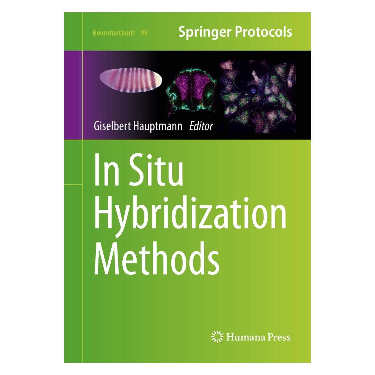Springer In Situ Hybridization Methods (Englisch, Hardcover, Giselbert Hauptmann) (9781493923021)