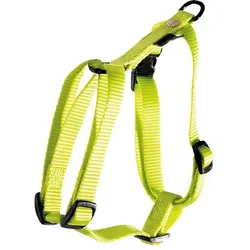 Martin Sellier XS (XS, Hund, Spazieren), Halsband + Leine