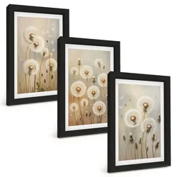 BILDER SET 3er Set - 20x30 cm Schwarzer Rahmen - Weiße Löwenzahnblüten auf hellem Hintergrund