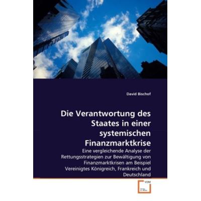 Bischof, D: Verantwortung des Staates in einer systemischen, Taschenbuch von David Bischof, VDM, 978-3-639-31541-7